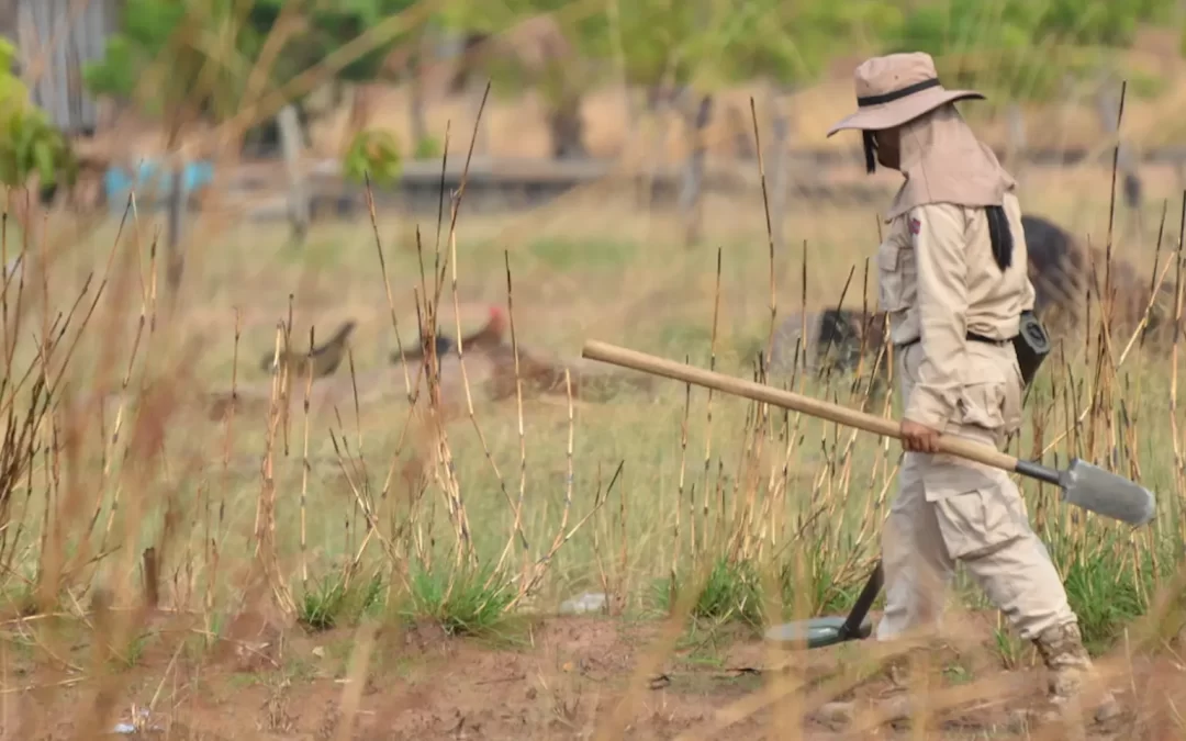 “No more mines”: Group renews call to end landmine use